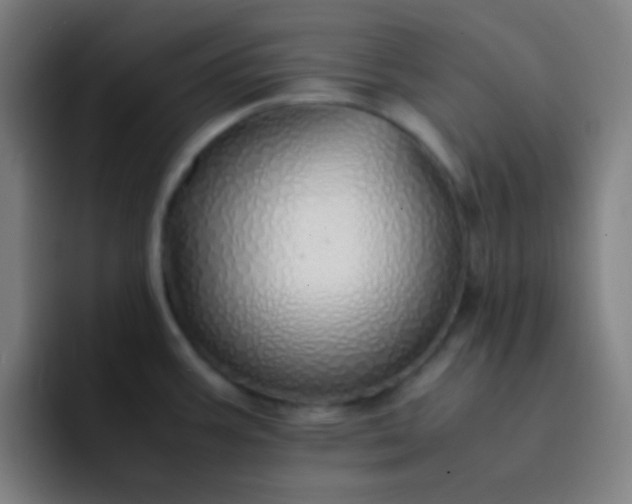 X0000093231387200710101356