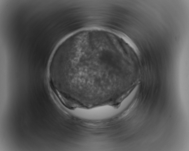 X0000093231388200710101356