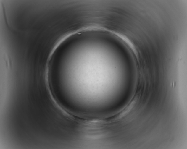 X0000093231390200710101356