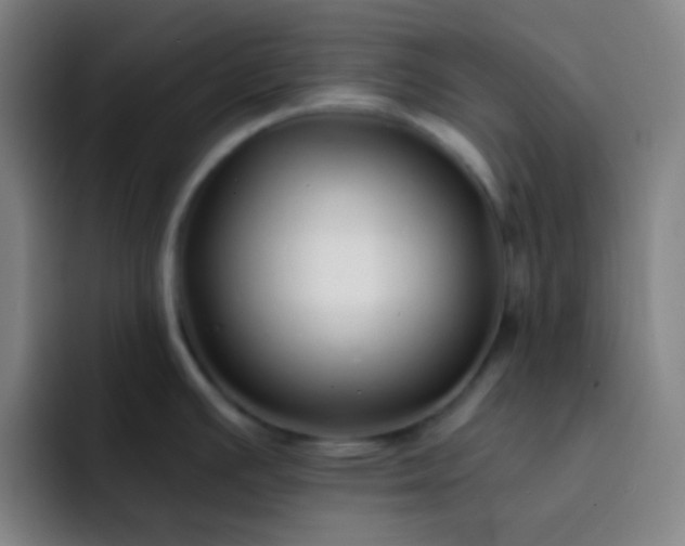 X0000093231391200710101356