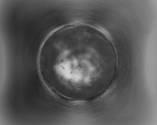 X0000093231392200710101356