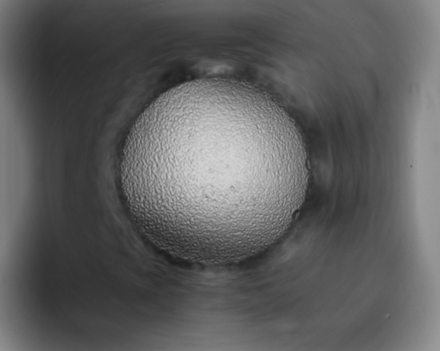 X0000093231393200710101355