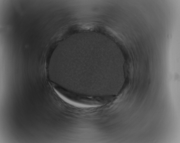 X0000093231394200710101355