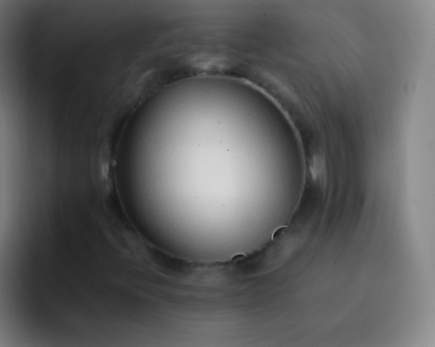 X0000093231396200710101355