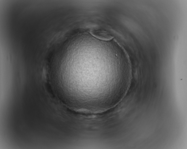 X0000093231397200710101355