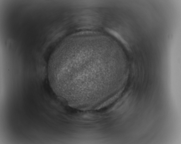 X0000093231399200710101355