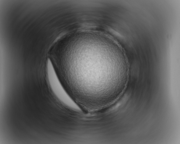 X0000093231401200710101355