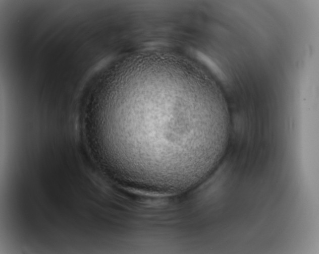 X0000093231403200710101355