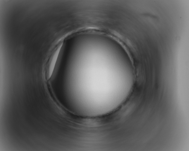 X0000093231404200710101355