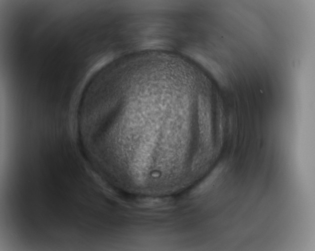 X0000093231405200710101355