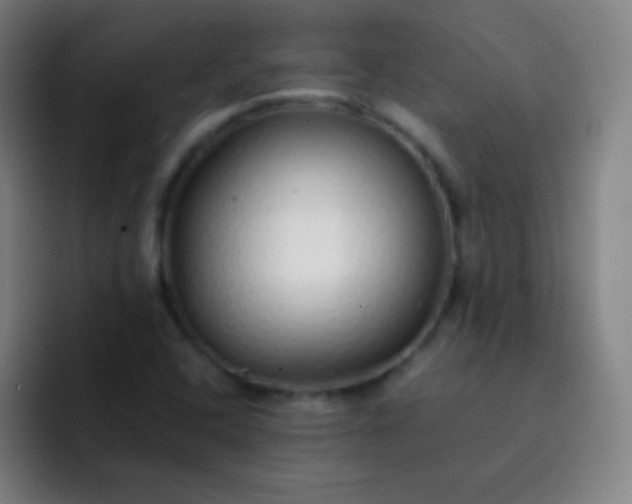 X0000093231408200710101355