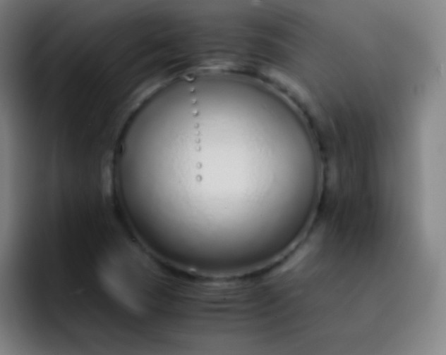 X0000093231409200710101355