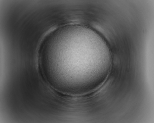 X0000093231411200710101355