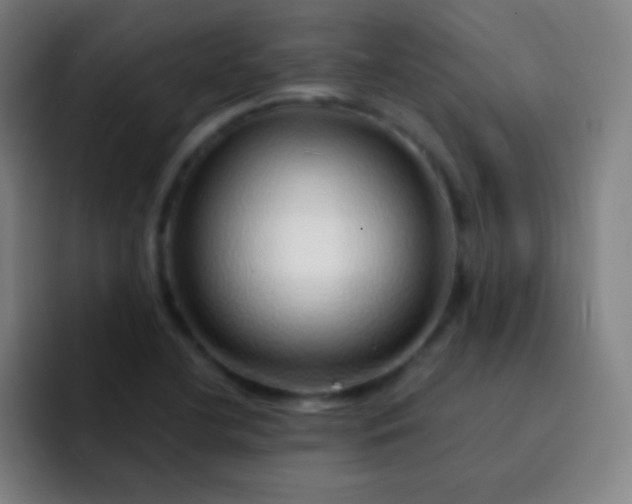 X0000093231412200710101355