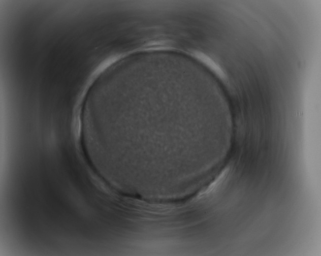 X0000093231413200710101355