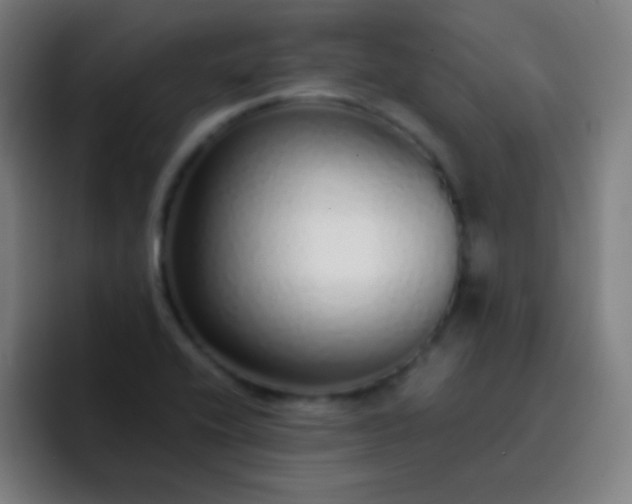 X0000093231416200710101355