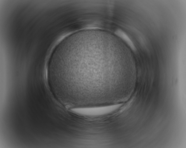 X0000093231419200710101355