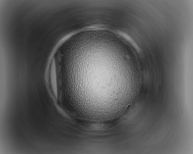 X0000093231421200710101355