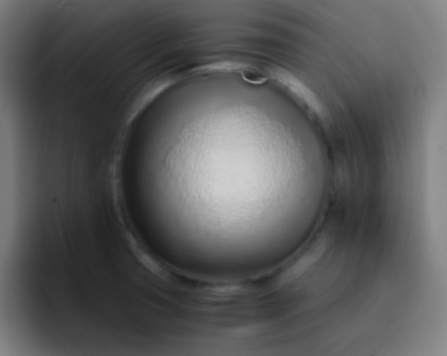 X0000093231425200710101355