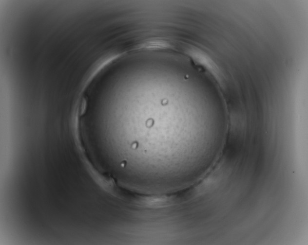 X0000093231426200710101355