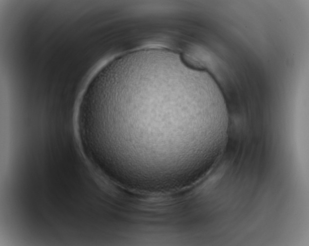 X0000093231427200710101355