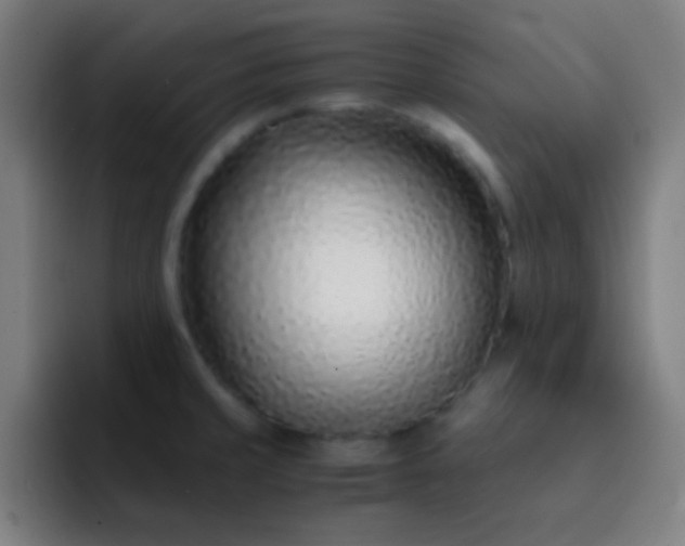 X0000093231429200710101355