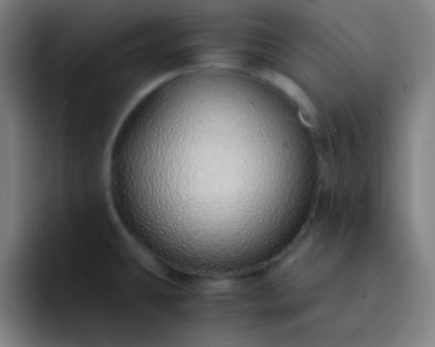 X0000093231431200710101355