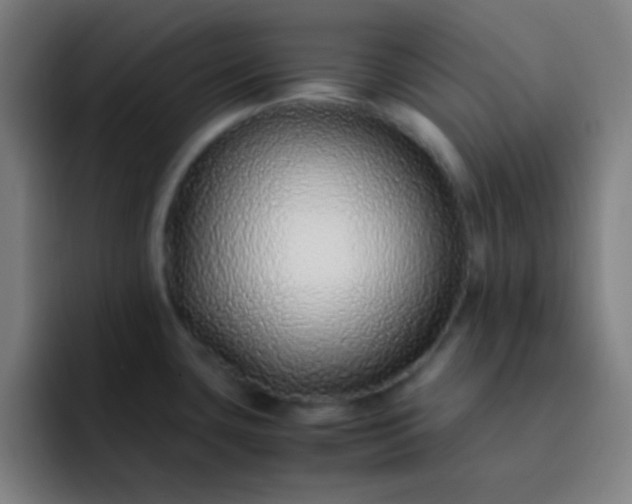 X0000093231435200710101355