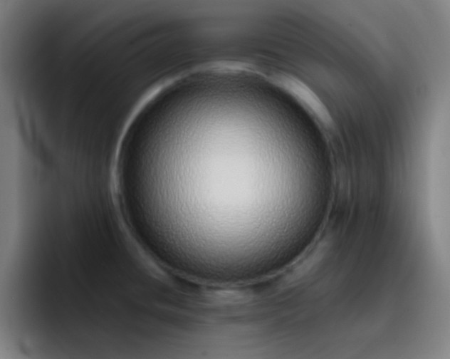 X0000093231436200710101355