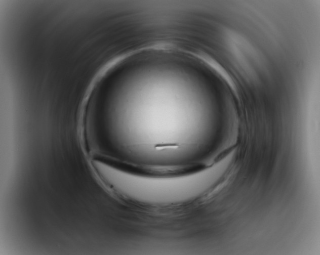 X0000093231437200710101356