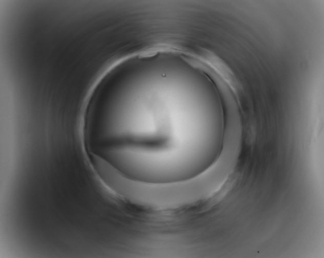 X0000093231438200710101356