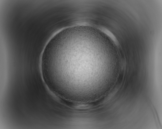 X0000093231439200710101356