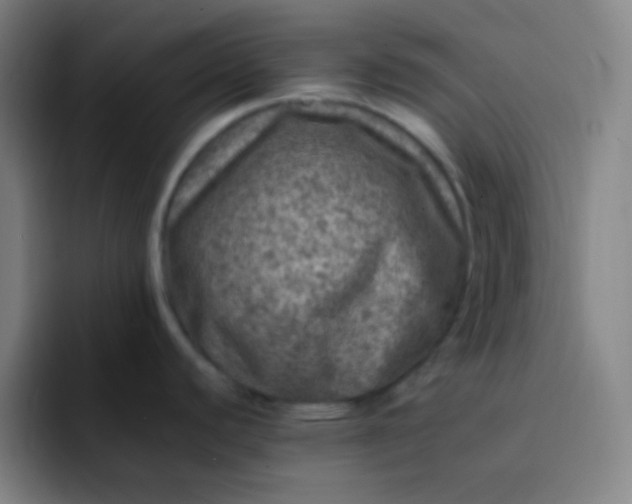 X0000093231440200710101356