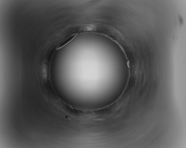 X0000093231442200710101355