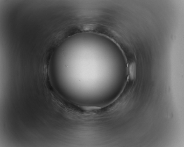 X0000093231443200710101355