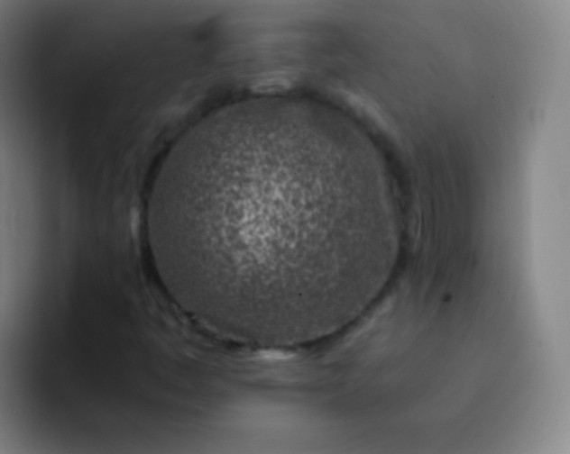 X0000093231445200710101355