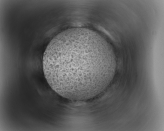 X0000093231446200710101355