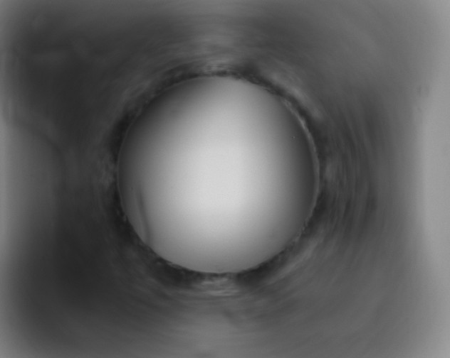 X0000093231447200710101355