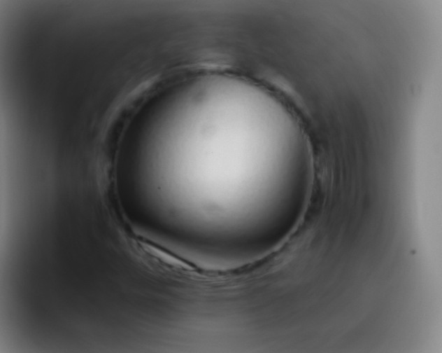 X0000093231448200710101355