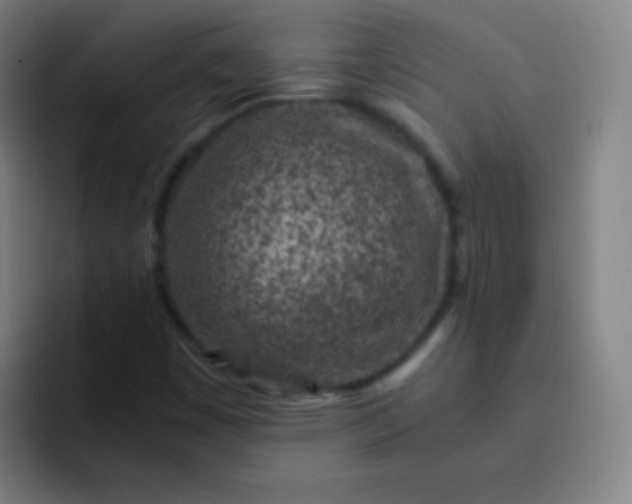 X0000093231449200710101355