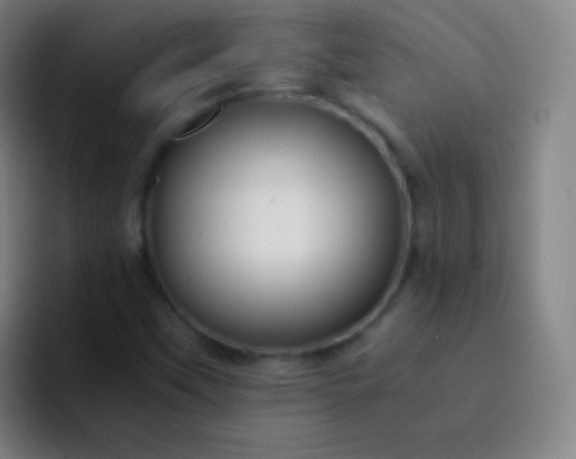 X0000093231451200710101355