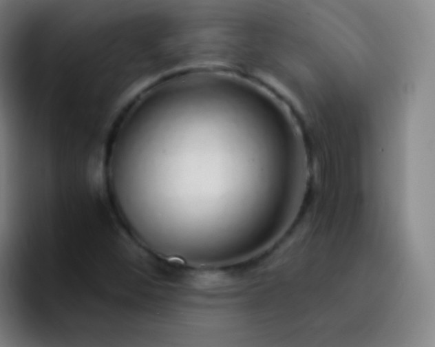 X0000093231452200710101355