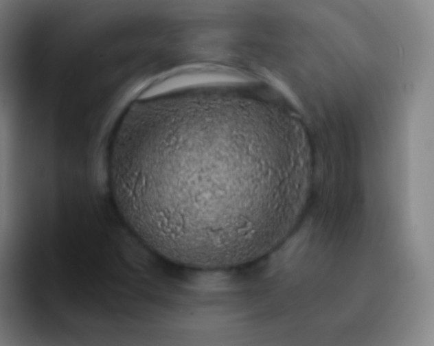 X0000093231455200710101355