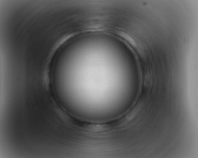 X0000093231458200710101355