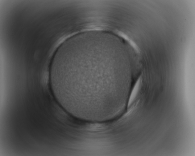 X0000093231459200710101355