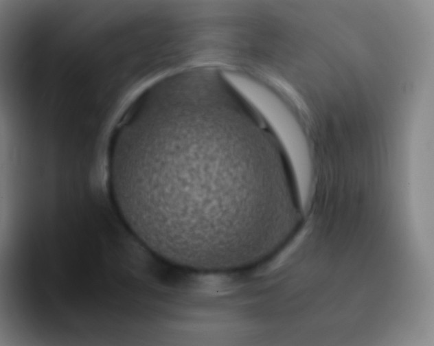 X0000093231461200710101355