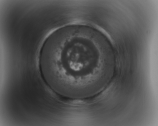 X0000093231463200710101355