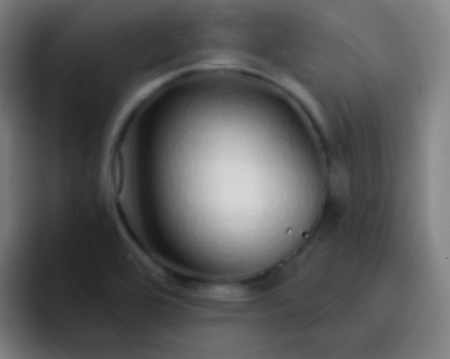 X0000093231464200710101355