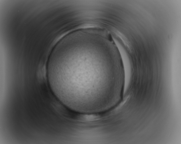 X0000093231465200710101355