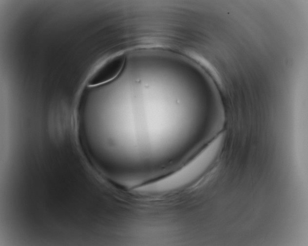 X0000093231467200710101355